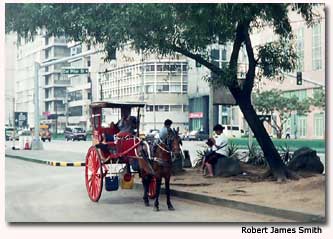 Horse and Carriage in Rizal Park