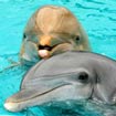 Nellie and Lilly in Marineland