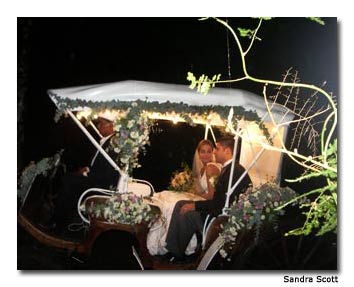 A bride and groom enjoy a romantic ride in a horse-drawn carriage.