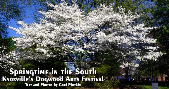 dogwoodarts.com