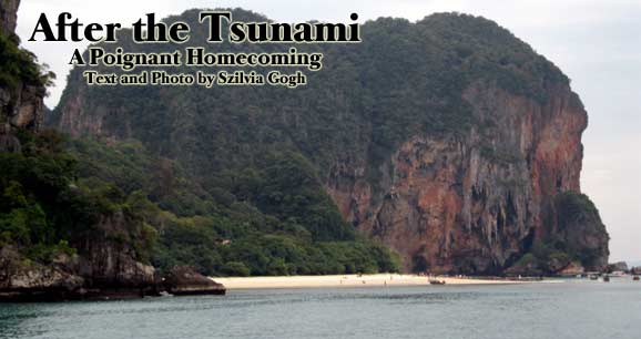 After the Tsunami:  A Poignant Homecoming