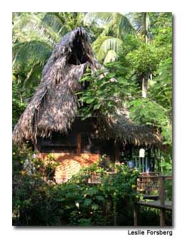 We stayed in a thatched-roof casita reached by a wooden bridge.