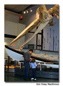 Children enjoy the Nantucket Whaling Museum
