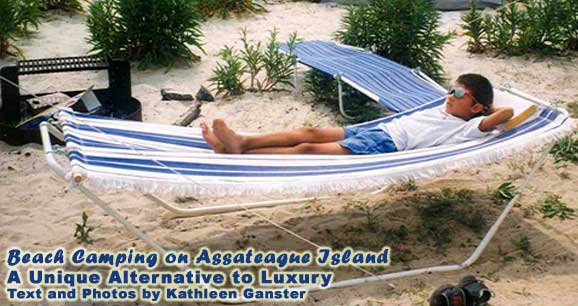 Snoozing on Assateague Island