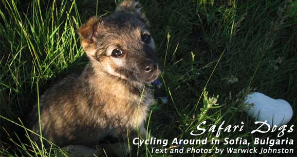 Cycling Around in Sofia, Bulgaria