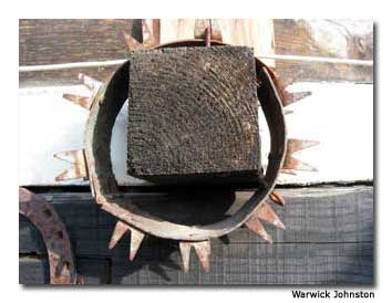 A rusty dog collar in Sofia, Bulgaria