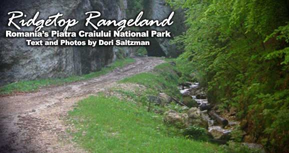 Ridgetop Rangeland: Romania's Piatra Craiului National Park