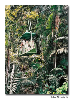 Twenty-five miles outside Panama City, the Gamboa Rainforest Resort offers visitors an aerial tram ride.