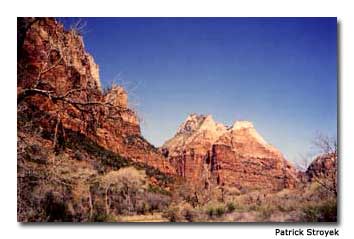 Towering red rocks characterize much of Zion National Park.