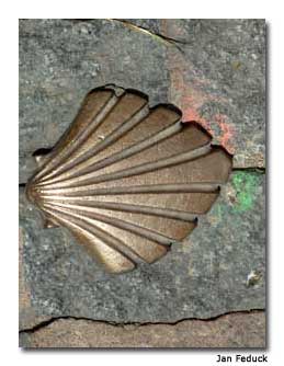 It is difficult to lose your way, as scallop shell symbols guide you through a true cross section of Spanish life.