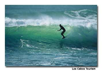 Westin Resort & Spa, Los Cabos