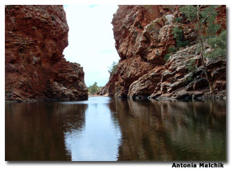 An extremely rare permanent watering hole in the Outback, Ellery Creek Bighole is a wonderful place to swim and picnic after a hot morning's hiking.