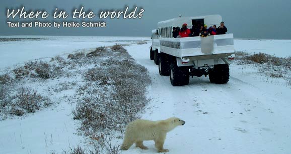 Where in the World?