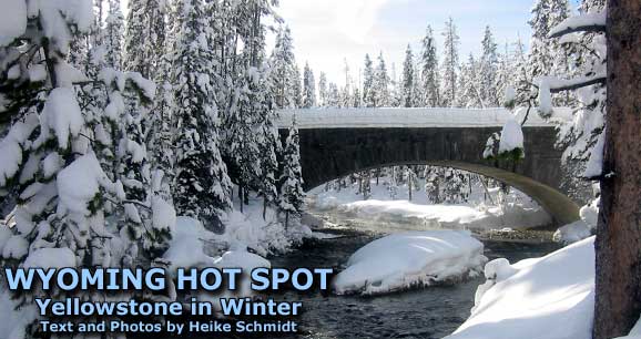 Wyoming Hot Spot: Yellowstone in Winter