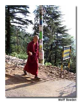 A monk strides down the mountainside.
