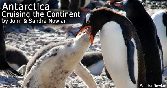 Antarctica: Cruising the Continent