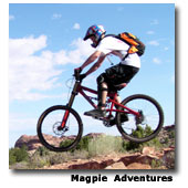 Magpie Adventures