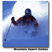 SkiTown.com