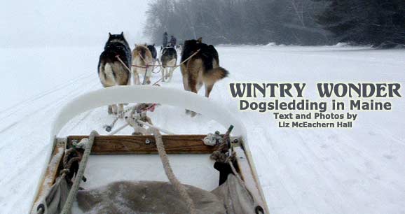 Riding on the sled was an exhilarating sensation.