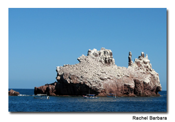 Los Islotes is a popular dive spot because of its large number of sea lions.