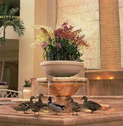 Peabody Orlando Hotel