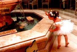 Peabody Orlando Hotel