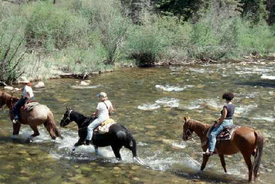 Latigo river walks