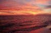 Secrets of Florida