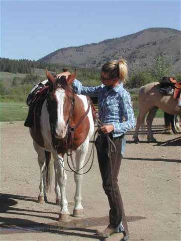 One of many Grand County guest ranch