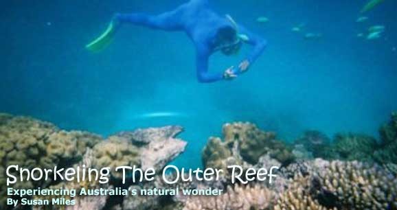 Snorkeling the Outer Reef