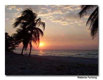 Cuban beach