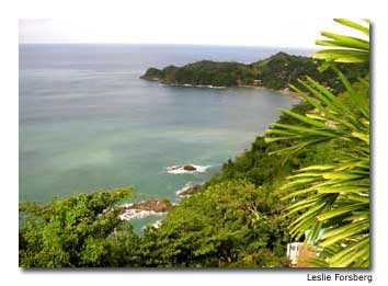 A ridgeback above Casara Bay offers a splendid view of the aquamarine Caribbean.