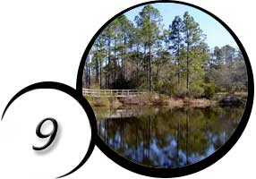 Fred Gannon Rocky Bayou State Park