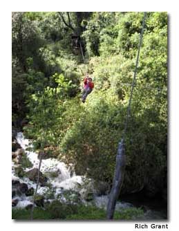 Riding a zipline above the trees in Parque Nacional Vicente Pérez Rosales is an exhilarating experience.