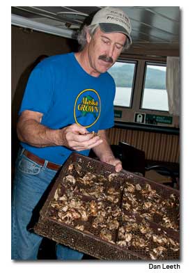 Oyster fishing in Alaska