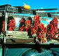 Travel in Taos