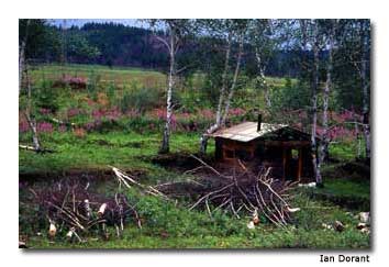 View of Russian Landscape