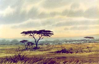 Evening Landscape