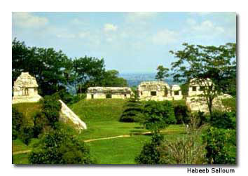 Palenque: Jewel of Mayan Cities