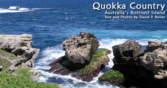 Quokka Country: Australia’s Rottnest Island 