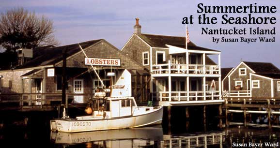 Summertime at the Seashore: Nantucket Island