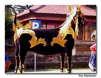 The coffin will be lowered into the hollow back of this brightly colored bull.