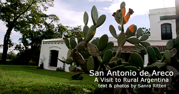 San Antonio de Areco: A Visit to Rural Argentina