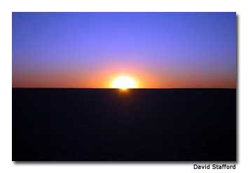Kalahari Sunset