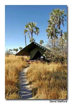 Jack's Camp Safari Tent