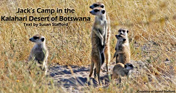 Jack's Camp in the Kalahari Desert of Botswana