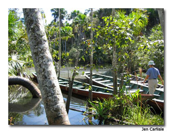 Canoeing in the Amazon