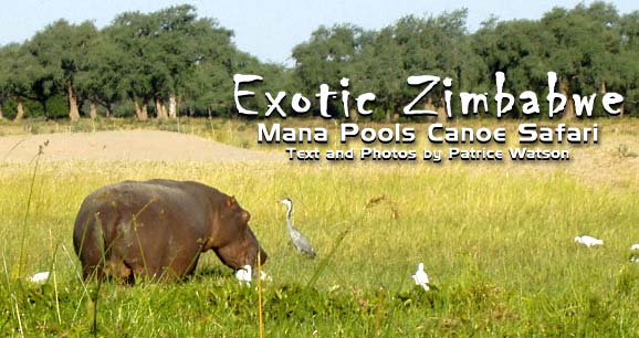 Exotic Zimbabwe: Mana Pools National Park Canoe Safari