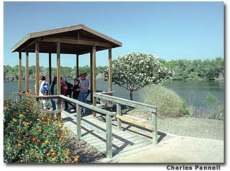The accessible overlook on North Lake at Edinburgh Scenic Wetlands