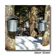 Vermont Syrup